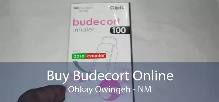 Buy Budecort Online Ohkay Owingeh - NM
