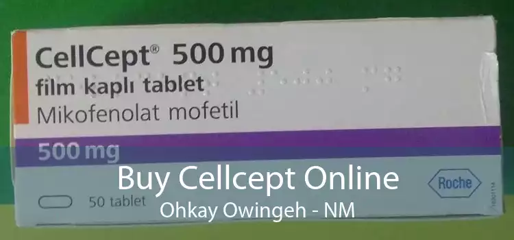 Buy Cellcept Online Ohkay Owingeh - NM