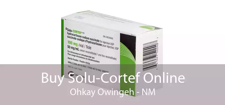 Buy Solu-Cortef Online Ohkay Owingeh - NM
