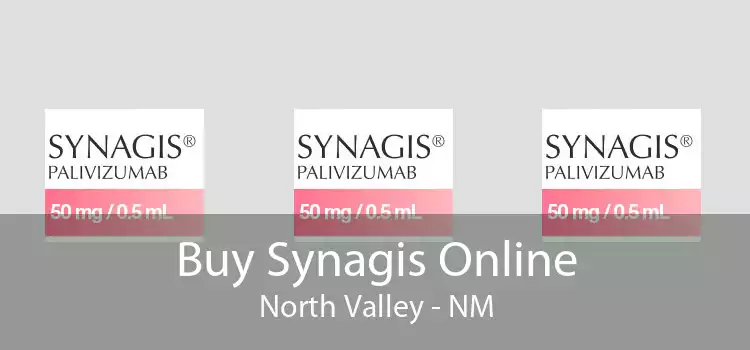Buy Synagis Online North Valley - NM