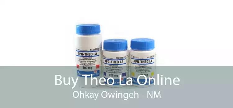 Buy Theo La Online Ohkay Owingeh - NM