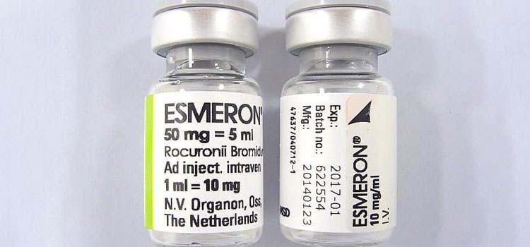 buy esmeron in Agua Fria, NM