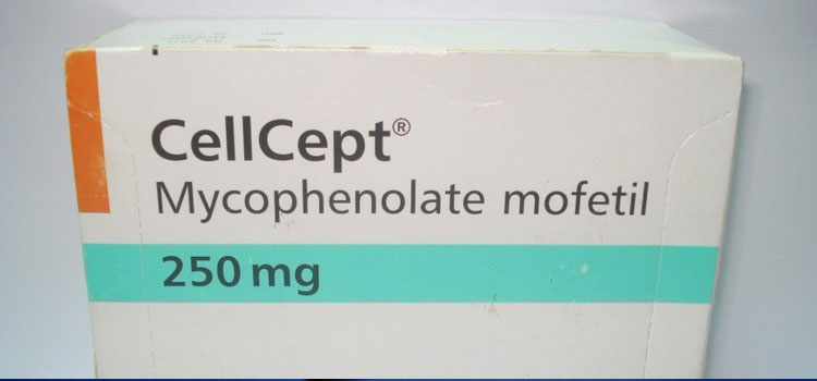 order cheaper cellcept online in Agua Fria, NM