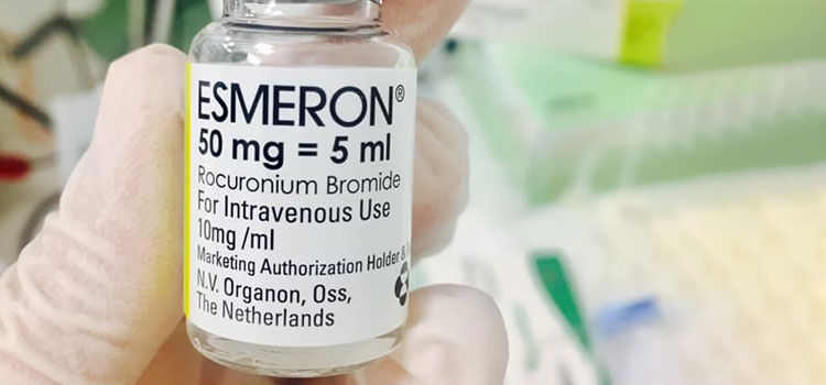 order cheaper esmeron online in Agua Fria, NM