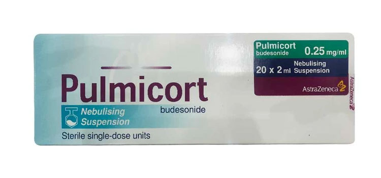 order cheaper pulmicort online in Agua Fria, NM