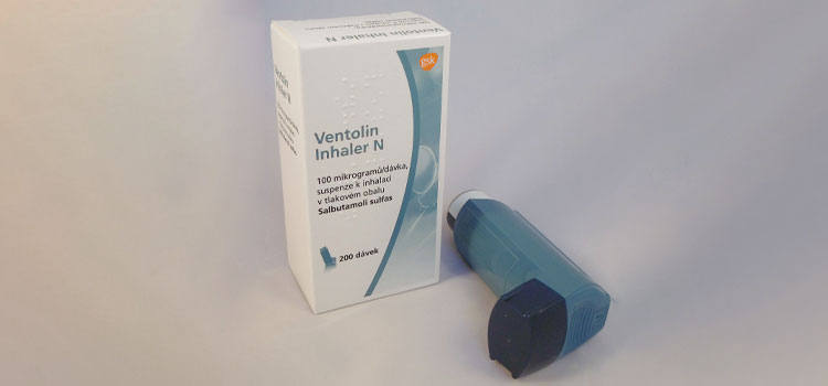 order cheaper ventolin online in North Valley, NM